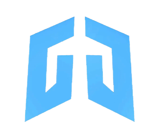 安定国投Logo